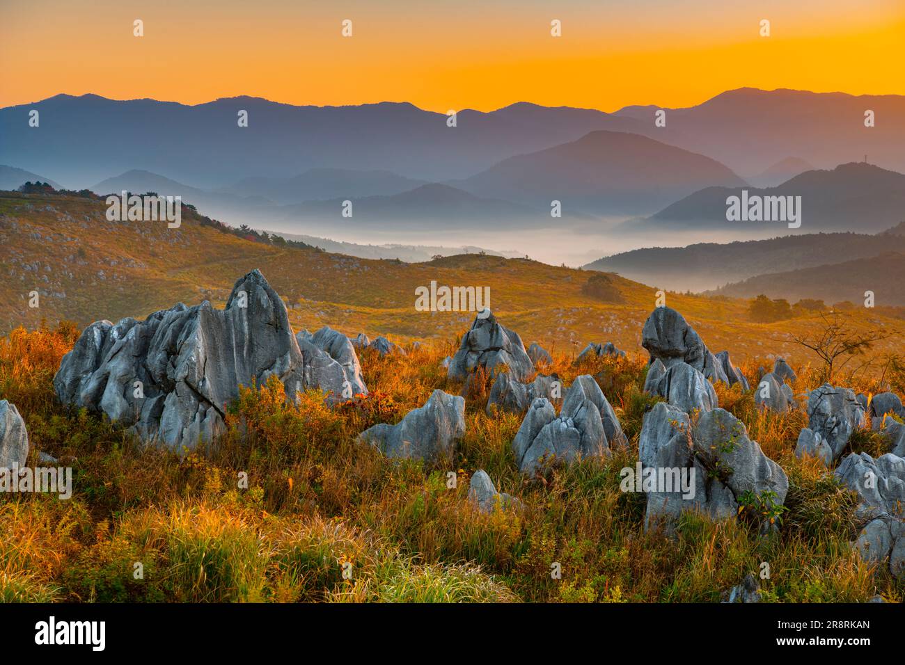 Akiyoshidai am Morgen Stockfoto