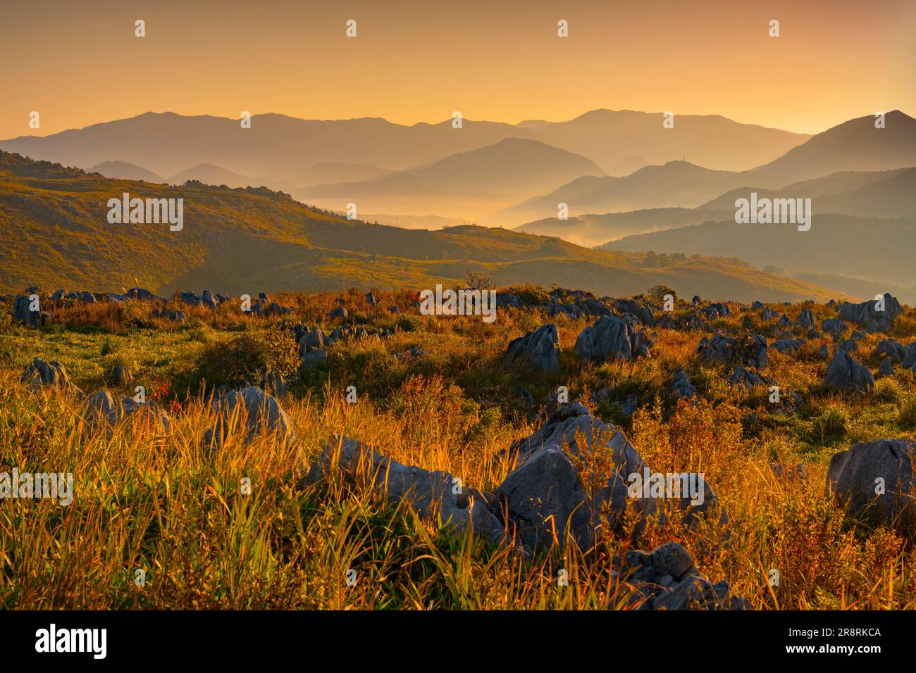 Akiyoshidai am Morgen Stockfoto