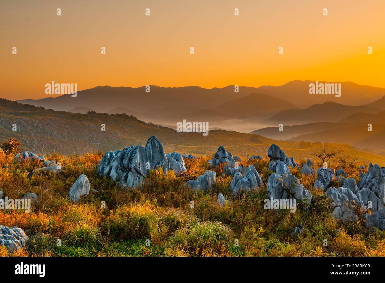Akiyoshidai am Morgen Stockfoto