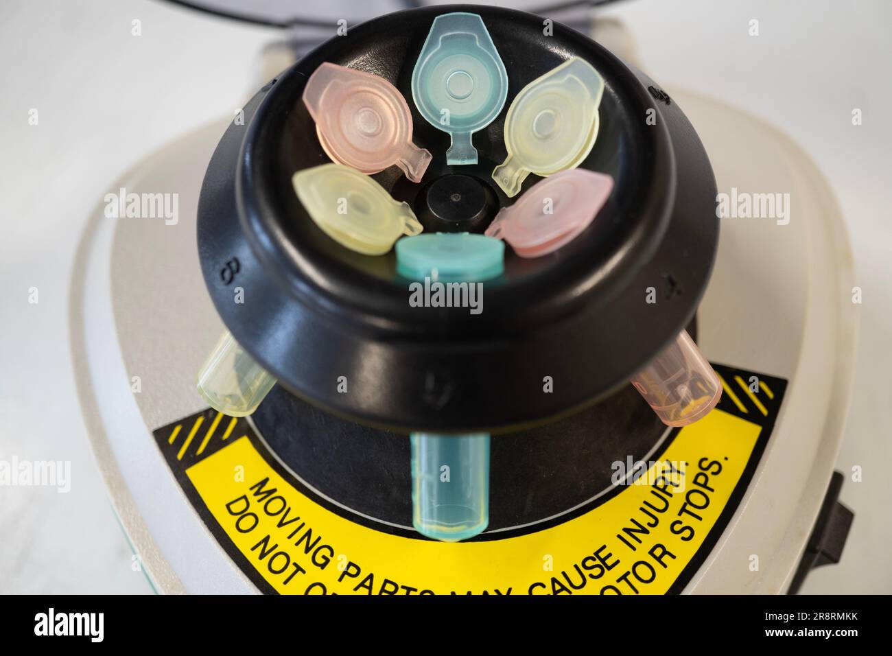 Zentrifuge für Mikroröhrchen für genetische Tests im Labor. Stockfoto
