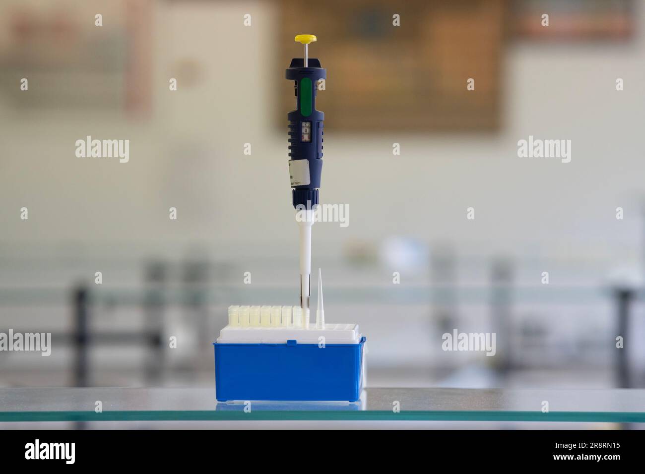 Mikropipette im Chemielabor. Stockfoto