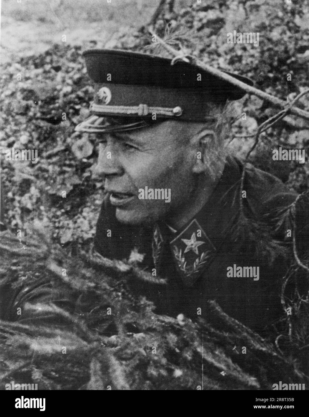 Marschall Timoschenko - der Marschall der Front Line, wie seine Truppen oft Timoschenko nennen, schockierte, als er den Verlauf der Schlacht aus einem Schützengraben eines fortgeschrittenen Beobachterpostens beobachtete, der gut getarnt ist mit Laub. 7. November 1942. (Foto von der Bildpresse). Stockfoto