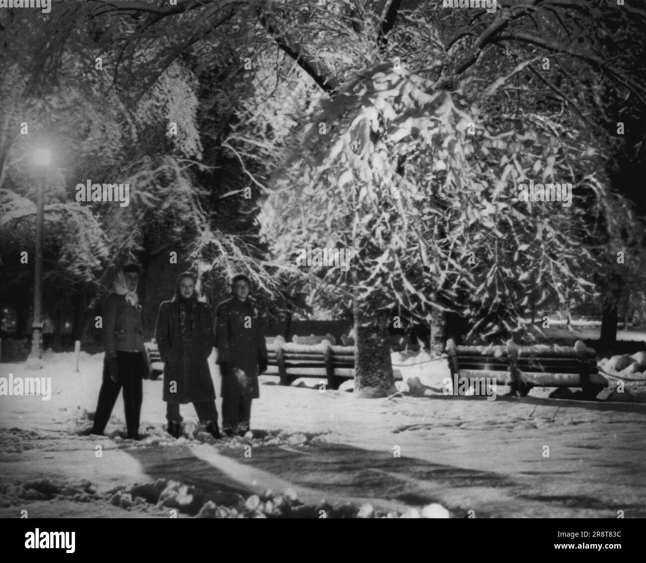 Winter Wonderland -- getarnt in dem silbernen Mantel von neugefallenem Schnee stehen die Bäume im Gemeinwesen hier letzte Nacht in winterlicher Schönheit für drei Krankenschwestern des Massachusetts General Hospital auf einem späten Abendspaziergang. Von links nach rechts: Shirley Atwood, Pelham, ***** . 30. Dezember 1945. (Foto von AP Wirephoto). Stockfoto