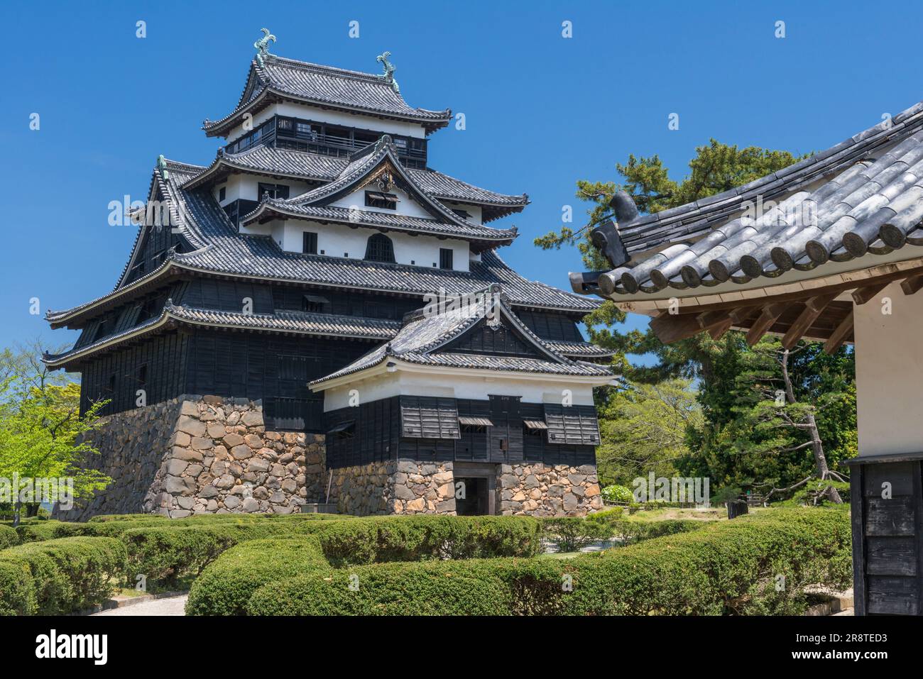 Schloss Matsue am klaren Himmel Stockfoto