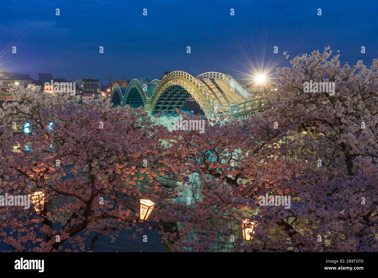 Kirschblüten bei Nacht auf der Kintai-Brücke Stockfoto