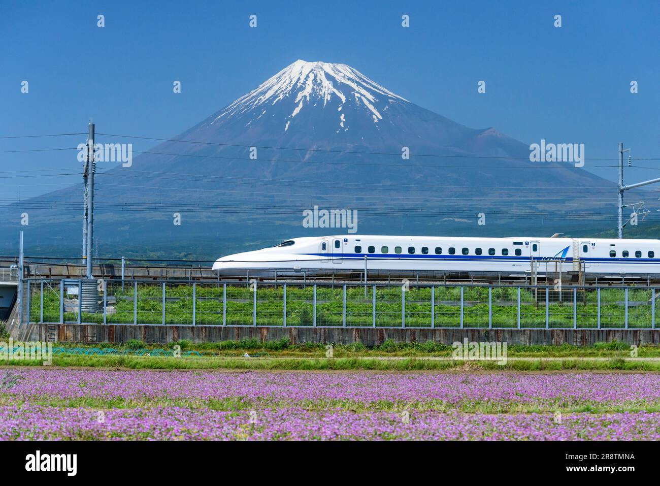 Shinkansen und Mt. Fuji Stockfoto