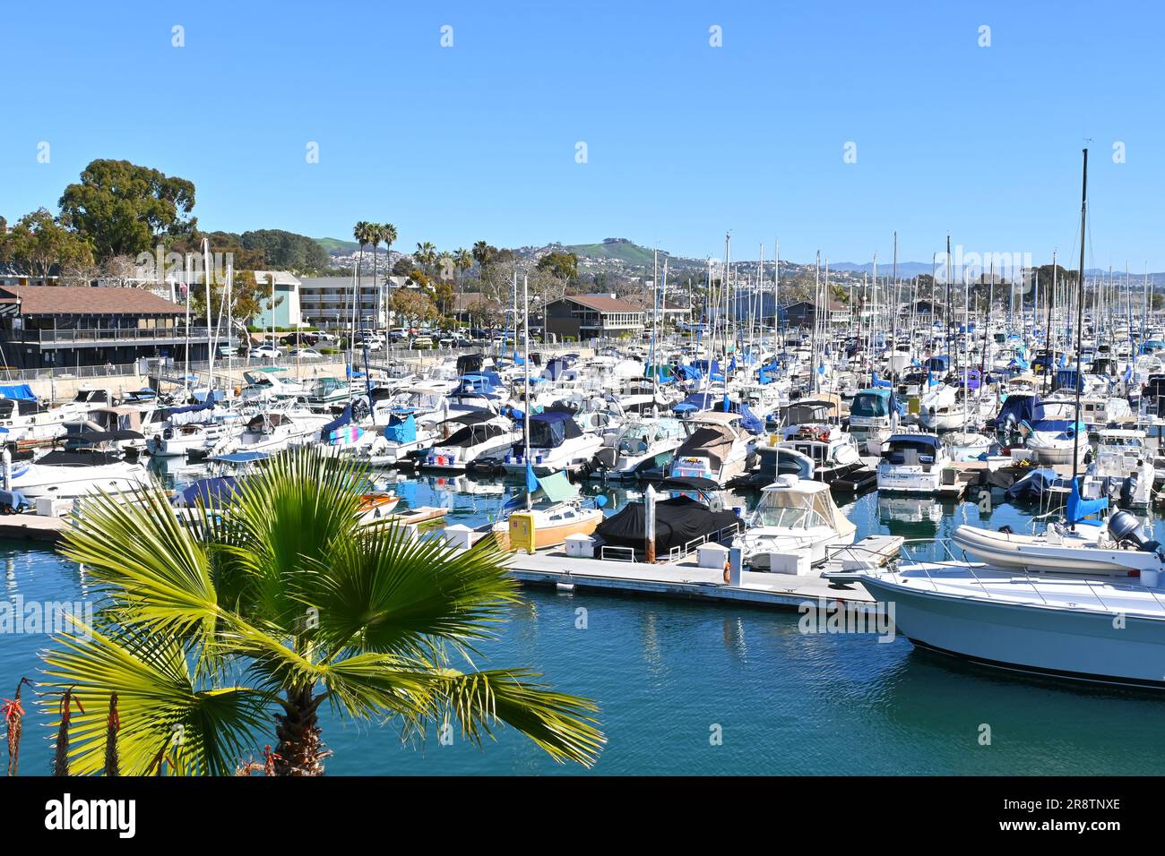 DANA POINT, KALIFORNIEN - 9. FEBRUAR 2023: Bootsstege im Hafen von Dana Point voller Vergnügungsboote. Stockfoto