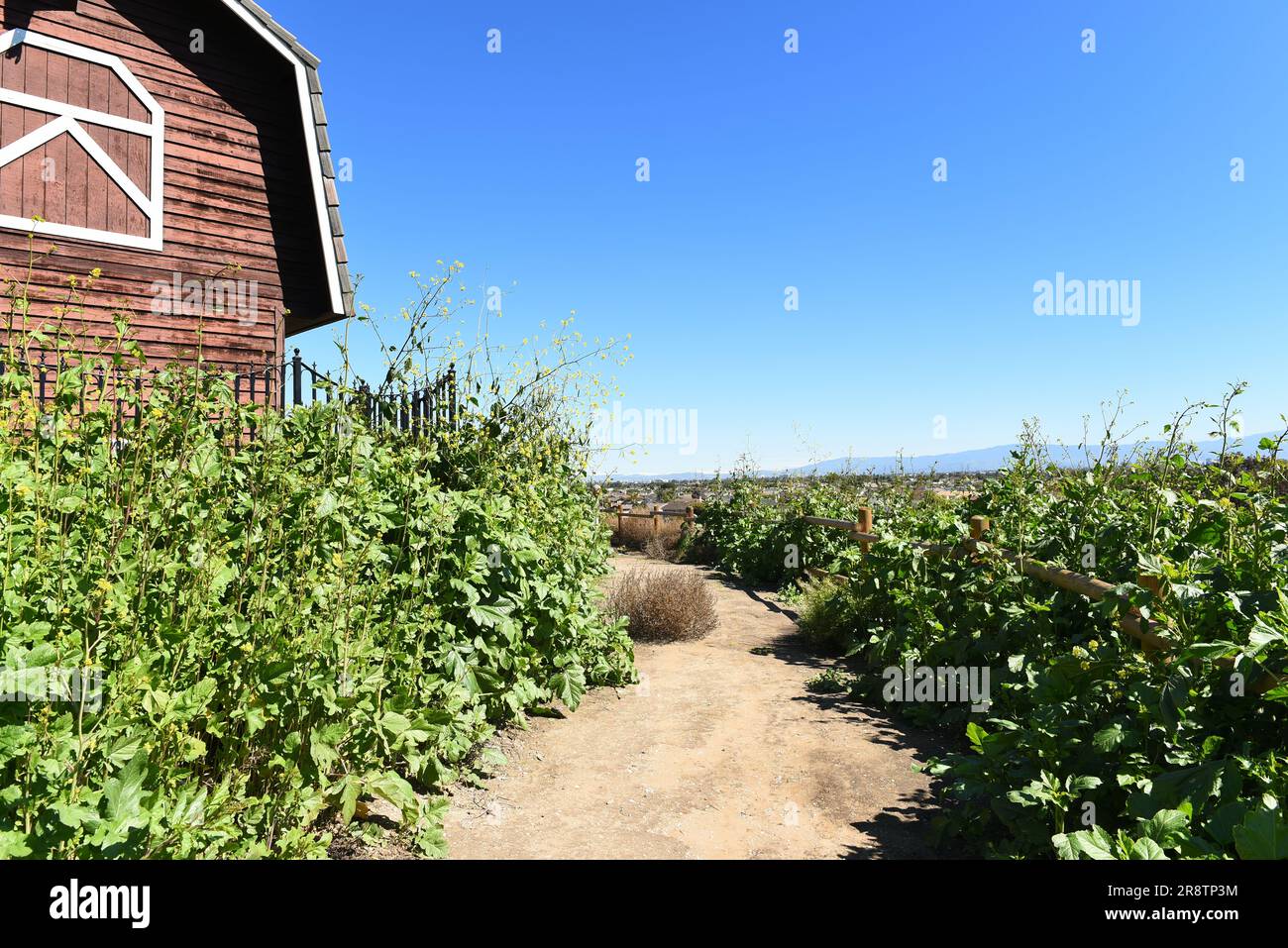 HUNTINGTON BEACH, KALIFORNIEN - 02. MÄRZ 2023: Newland House Museum Barn Building und Bartlett Park Trail Stockfoto