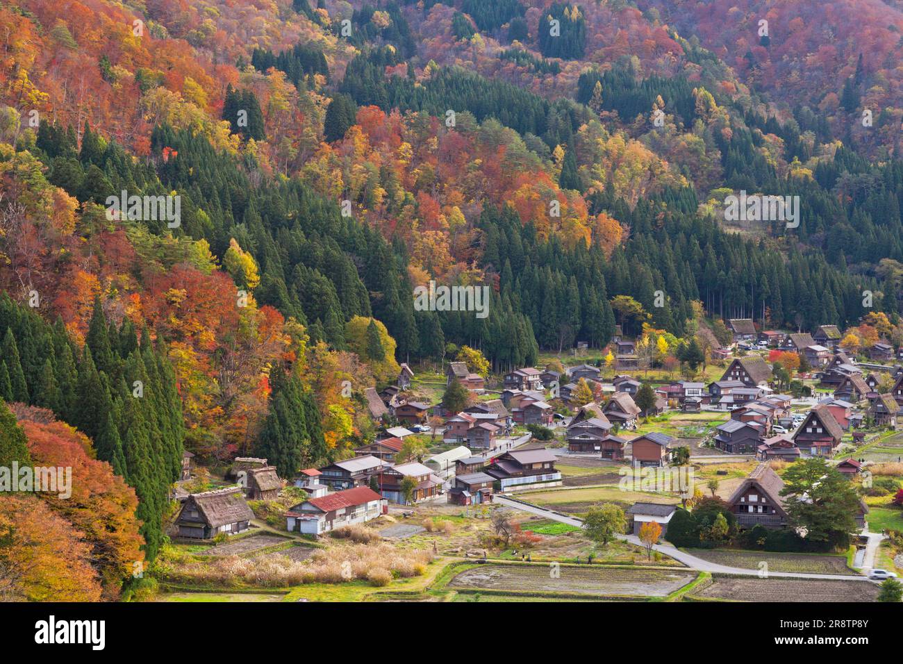 Bild der menschlichen Siedlungen im Dorf Shirakawago im Herbst Stockfoto