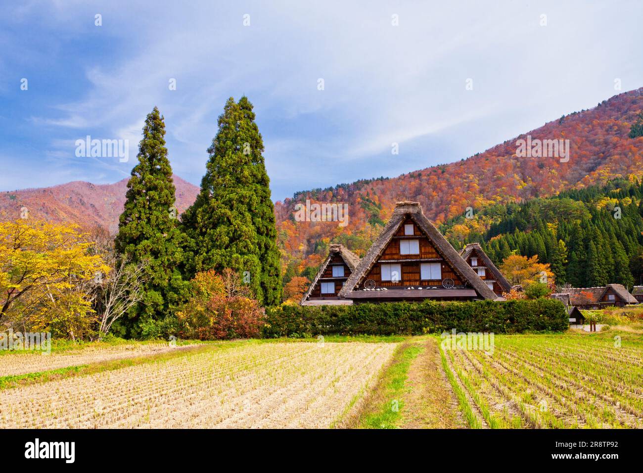 Bild der menschlichen Siedlungen im Dorf Shirakawago im Herbst Stockfoto