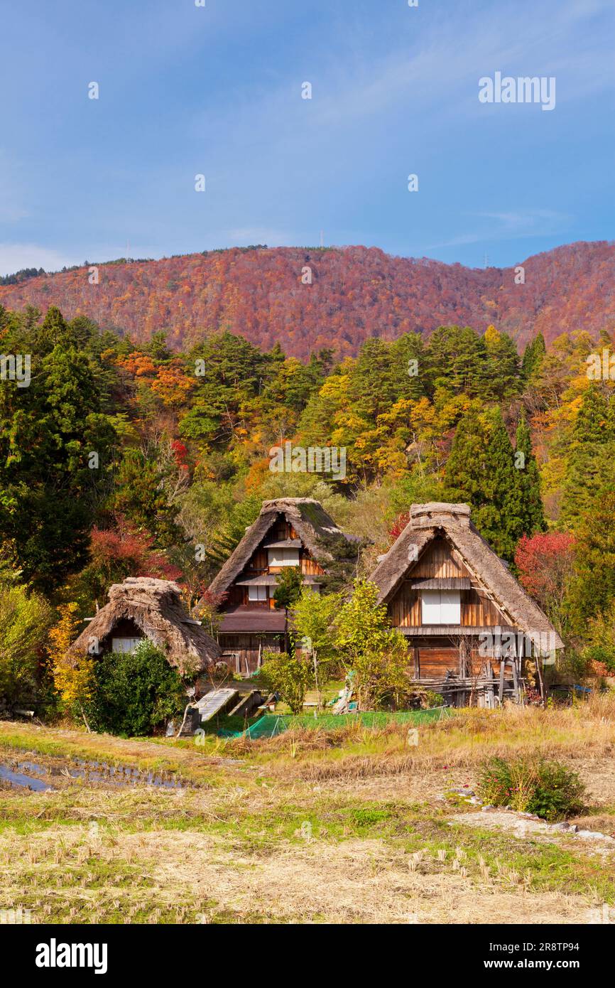 Blauer Himmel und die menschlichen Siedlungen im Dorf Shirakawago im Herbst Stockfoto
