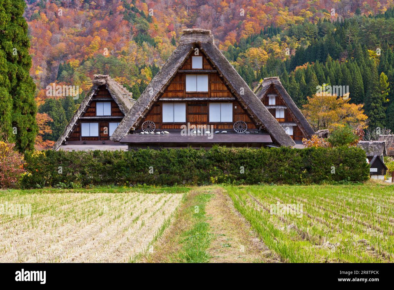 Bild der menschlichen Siedlungen im Dorf Shirakawago im Herbst Stockfoto