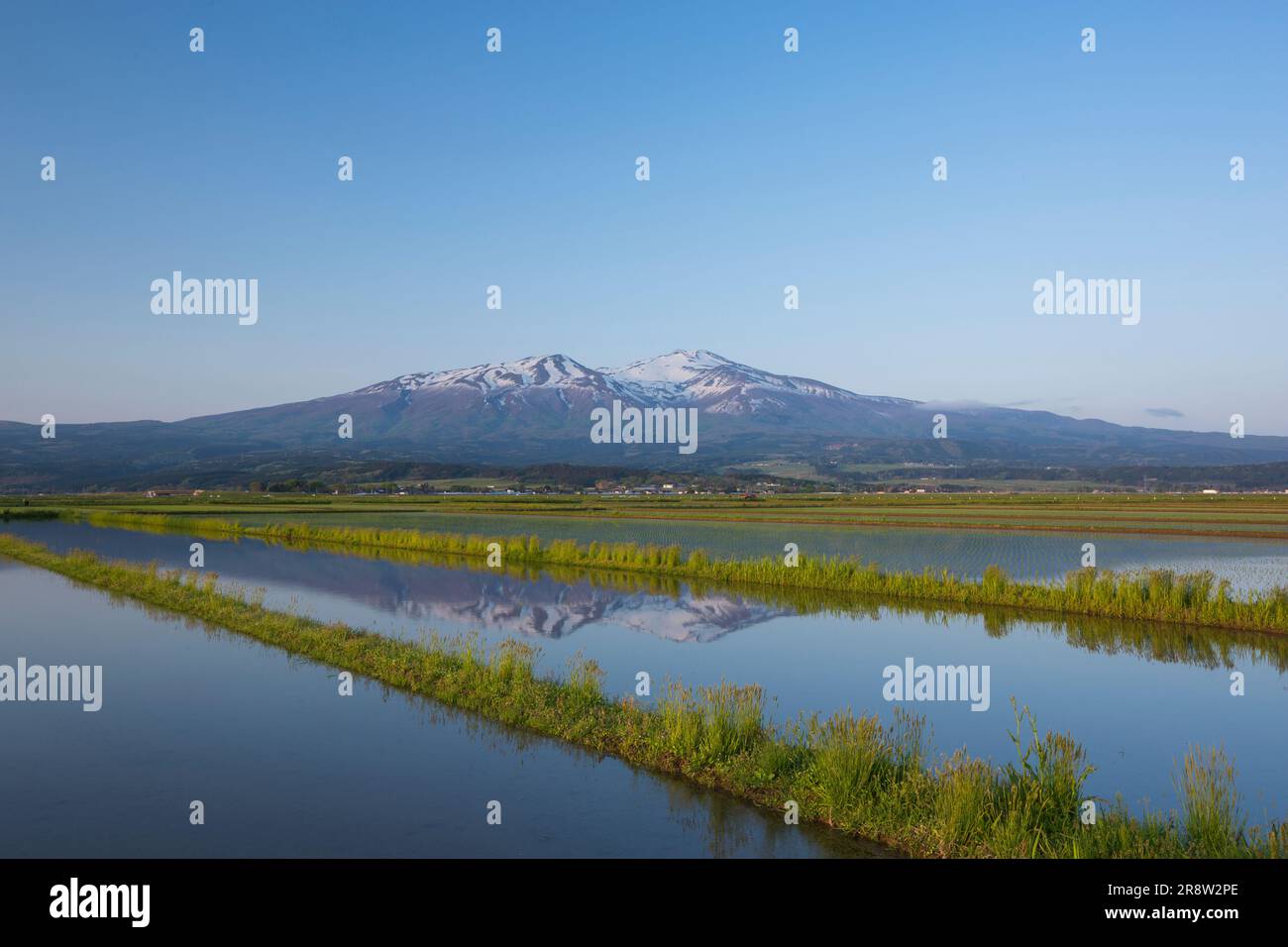 Mount Chokai und Paddies Stockfoto