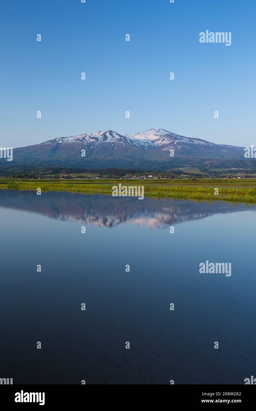 Mount Chokai und Paddies Stockfoto