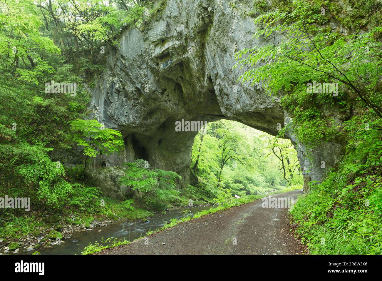 Tang-Dämon-Tor im Taishaku-Tal Stockfoto