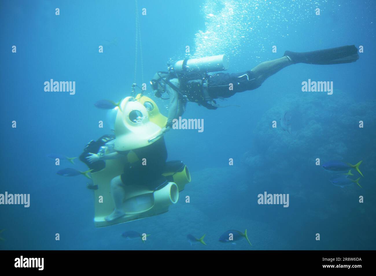 Great Barrier Reef, ein UNESCO-Weltkulturerbe Stockfoto