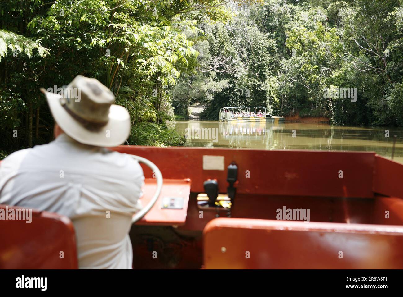 Amphibienfahrzeug zur Erkundung von Cairns Kurandas Wald Stockfoto