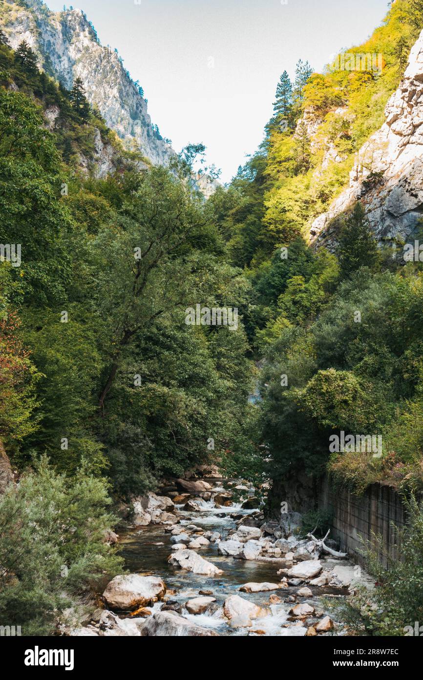 Der Fluss Lumbardhi i Pejës (Peja Bistrica) fließt durch einen engen, bewaldeten Canyon im Nationalpark Bjeshkët e Nemuna, Kosovo Stockfoto