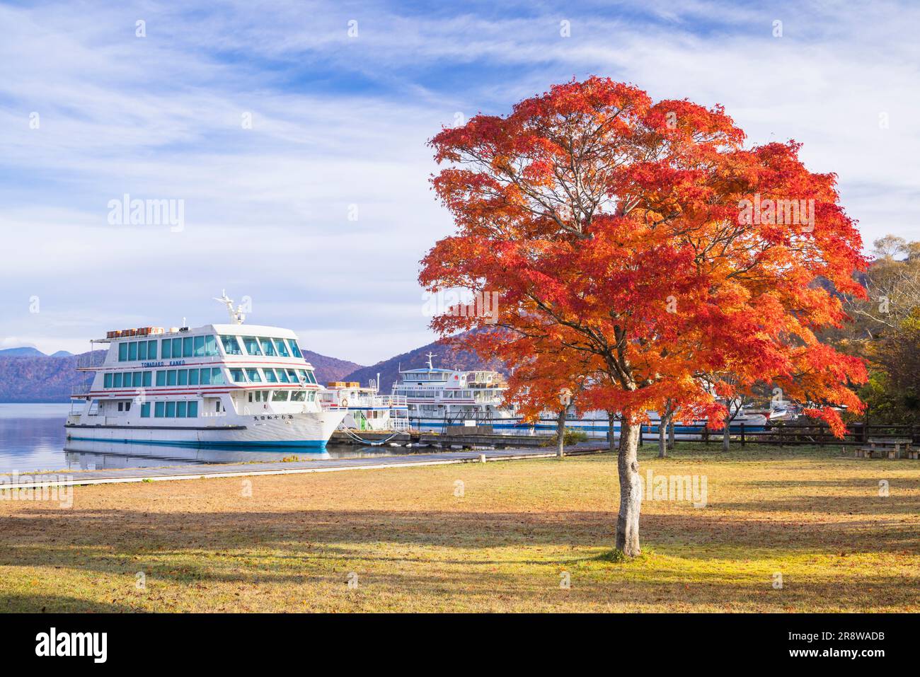 Herbstfarbe und Towada-See Stockfoto