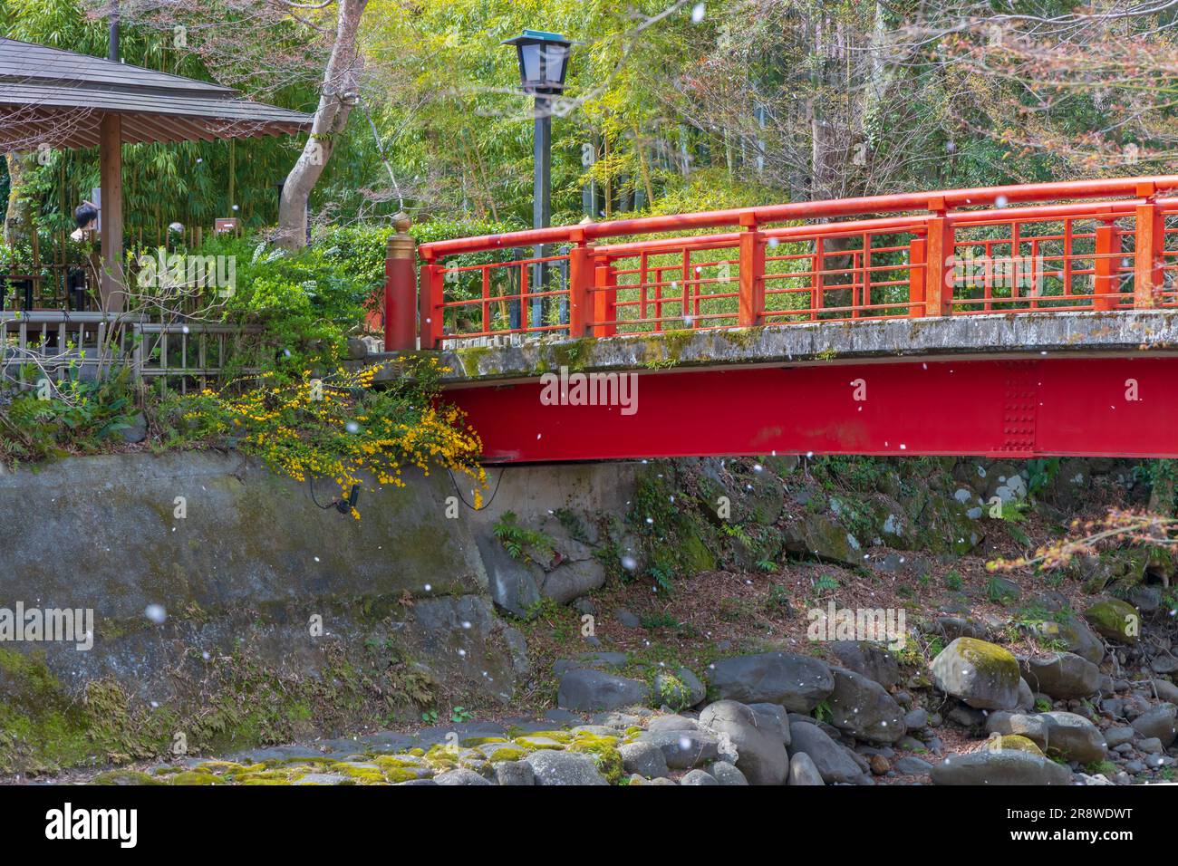 Katsura-Brücke in Shuzenji Stockfoto