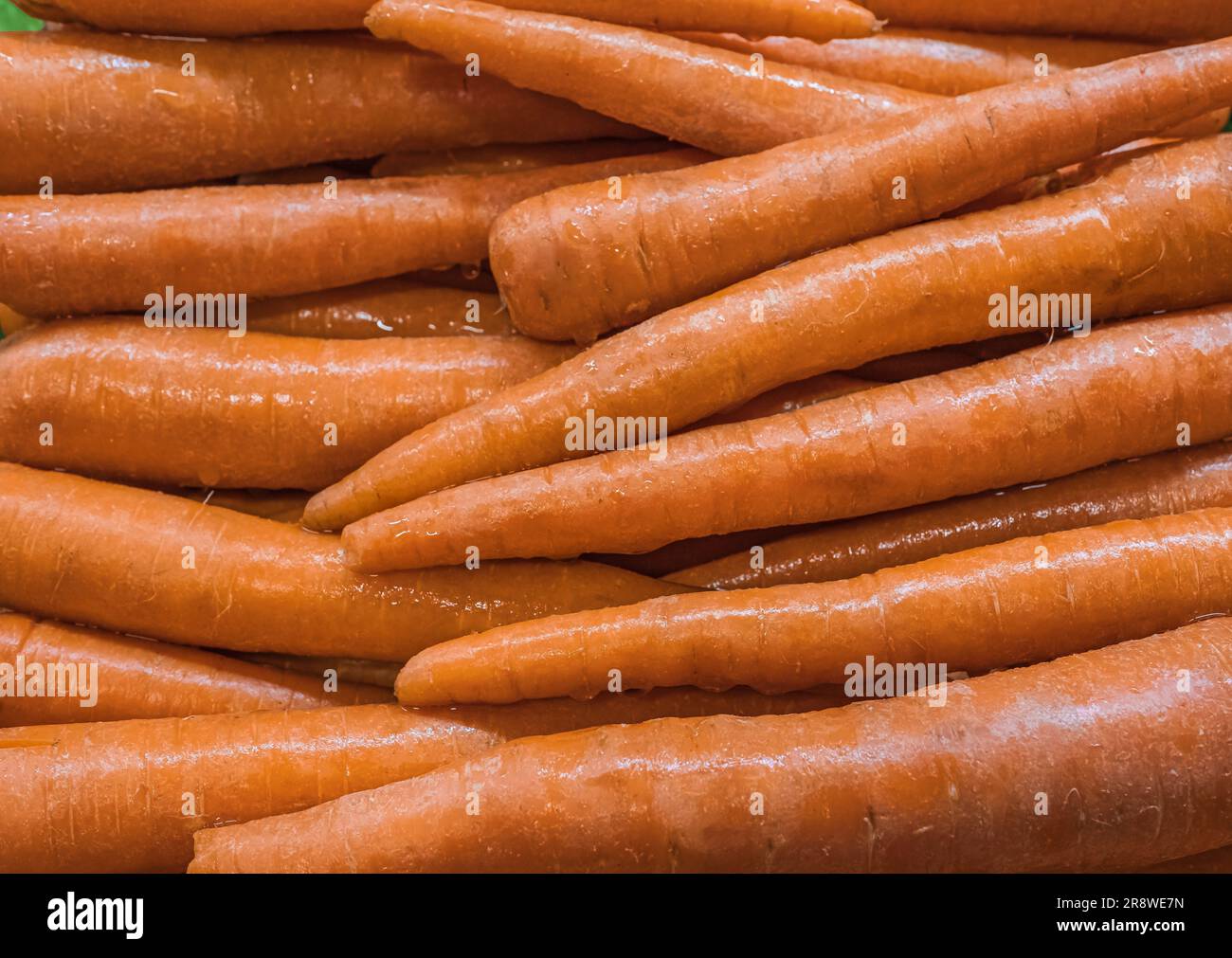 Ein Haufen Karotten als Hintergrund. Lebensmittelgeschäft. Regale mit natürlichem Bio-Gemüse im Supermarkt oder Bauernmarkt. Frisches Essen. Niemand, wählerisch Stockfoto
