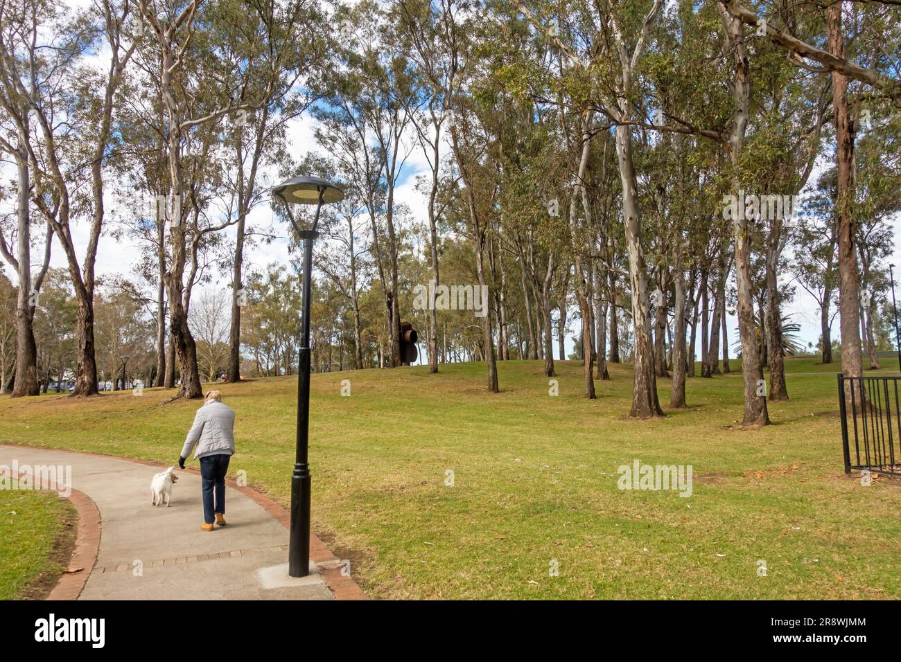 Einsamer Hundeläufer mit kleinem Hund im Winter auf der Bicentennial PRK Tamworth Australia Stockfoto