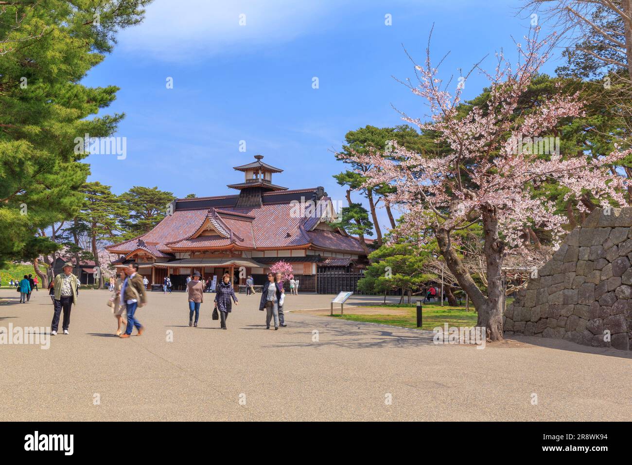 Goryokaku Park im Frühling Stockfoto