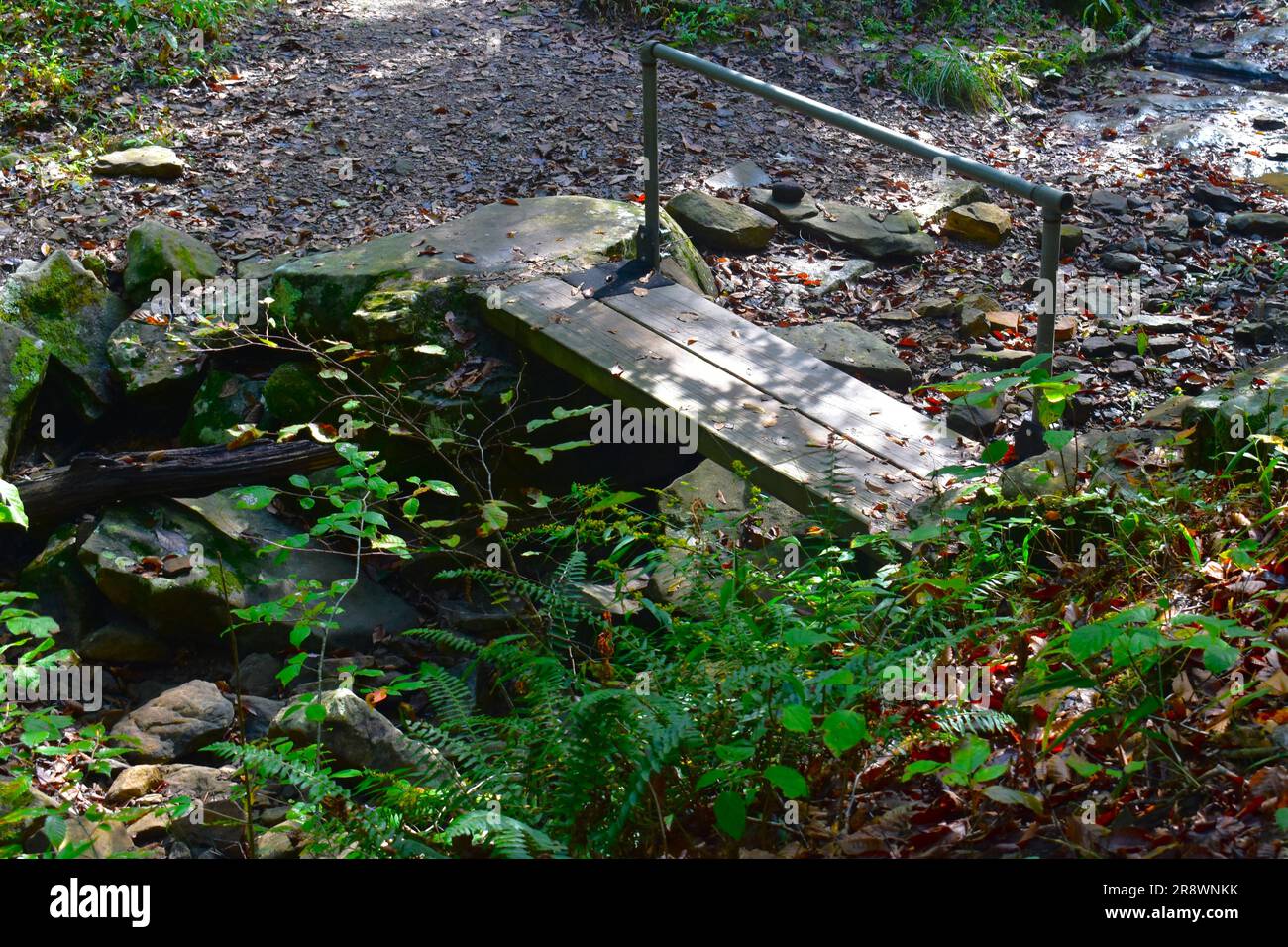 Eine kleine Holzsteg führt über einen kleinen Bach auf dem Pedestal Rock Trail in der Pedestal Rocks Scenic Area, Pelsor, Arkansas, AR, USA Stockfoto