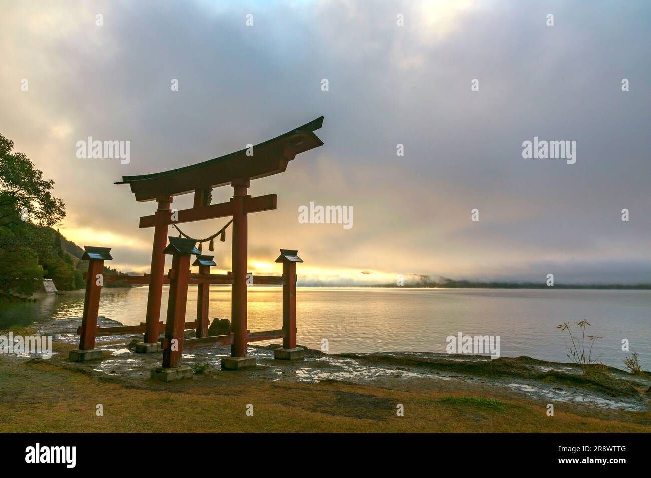 Morgen Torii Tor Stockfoto