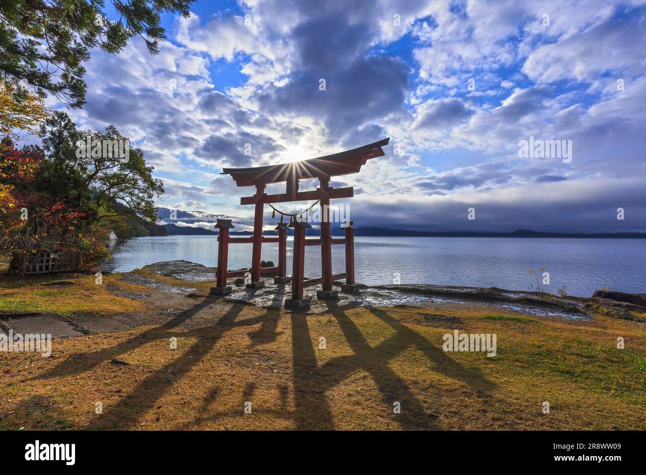 Morgen Torii Tor Stockfoto