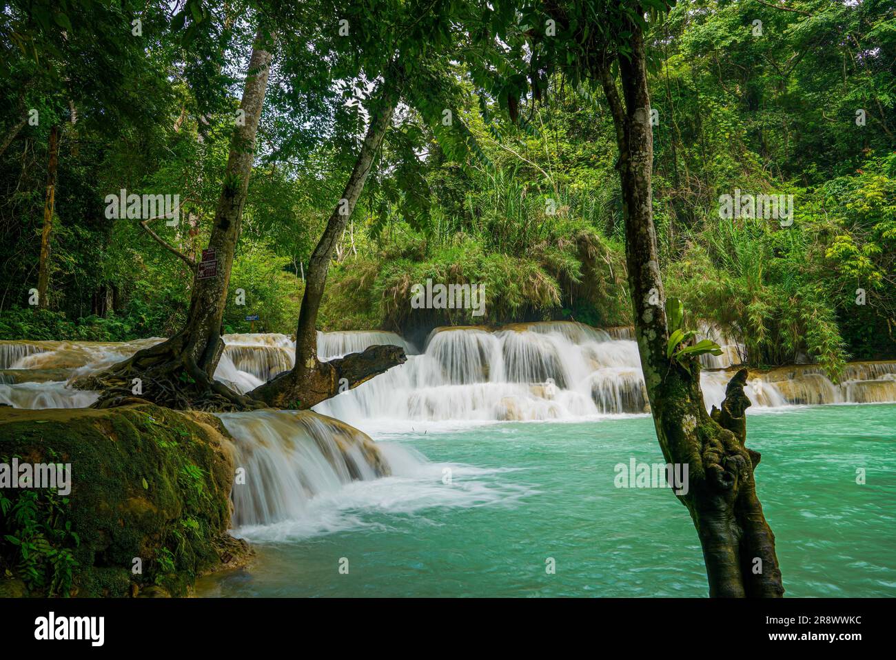 Kuang Si Falls in der Nähe von Luang Prabang in Loas. Ein beliebter Touristenausflug, tropischer Dschungel und türkisfarbene Pools, die zum UNESCO-Weltkulturerbe gehören Stockfoto