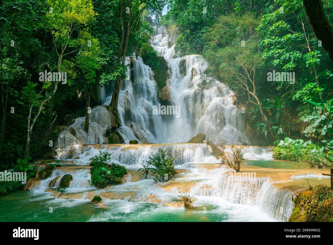 Erkunden Sie die Kuang Si Falls, einen dreistöckigen Wasserfall in der Nähe von Luang Prabang in Laos: Ein UNESCO-Stätte mit tropischem Dschungel und türkisfarbenen Pools. Stockfoto