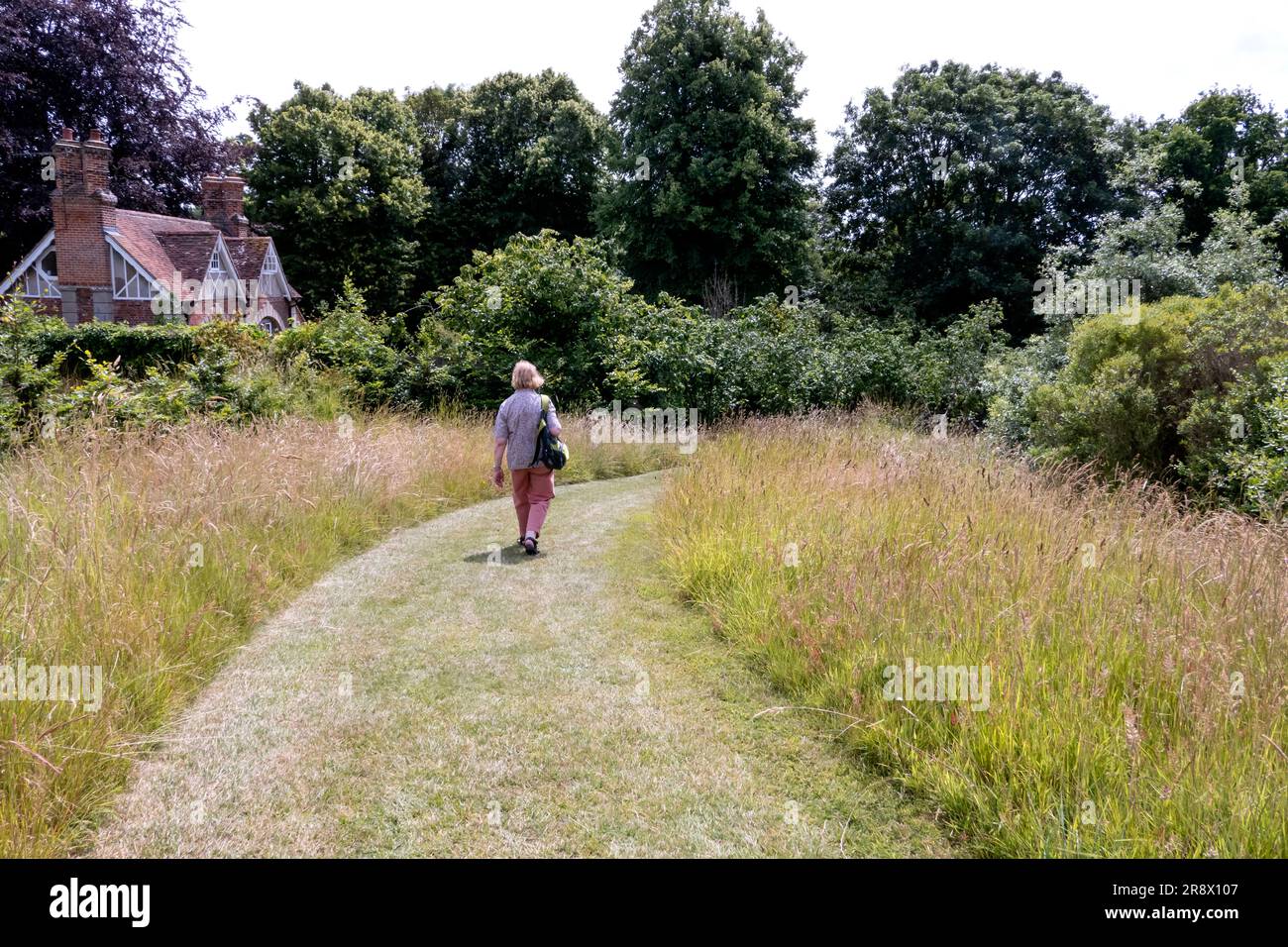 Mähweg auf einer Wiese in einem englischen Landgarten im Sommer Stockfoto