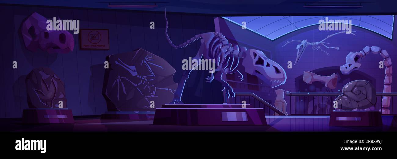 Museumsraum mit Dinosaurierskeletten und Fossiliensteinen. Vektor-Cartoon-Darstellung archäologischer Ausstellungen auf Ständen, uralte Felsen mit prähistorischen Tierprägungen, Dino-Schädel und Knochen Stock Vektor