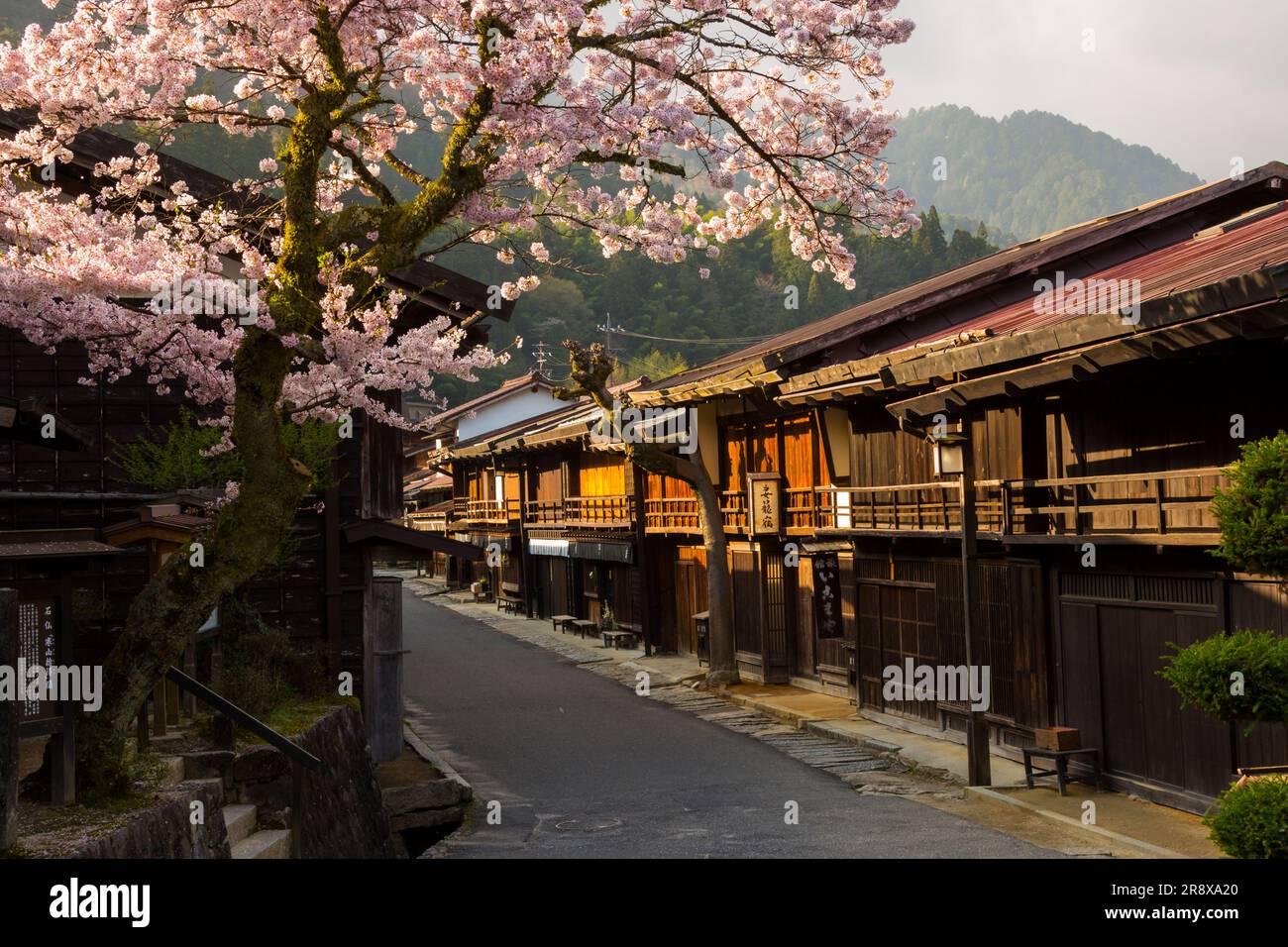 Tsumago Yado am Morgen, wenn die Kirschblüten in voller Blüte sind Stockfoto