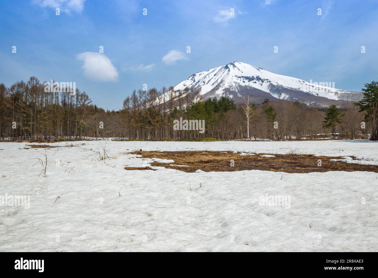 Mt. Iwaki Stockfoto