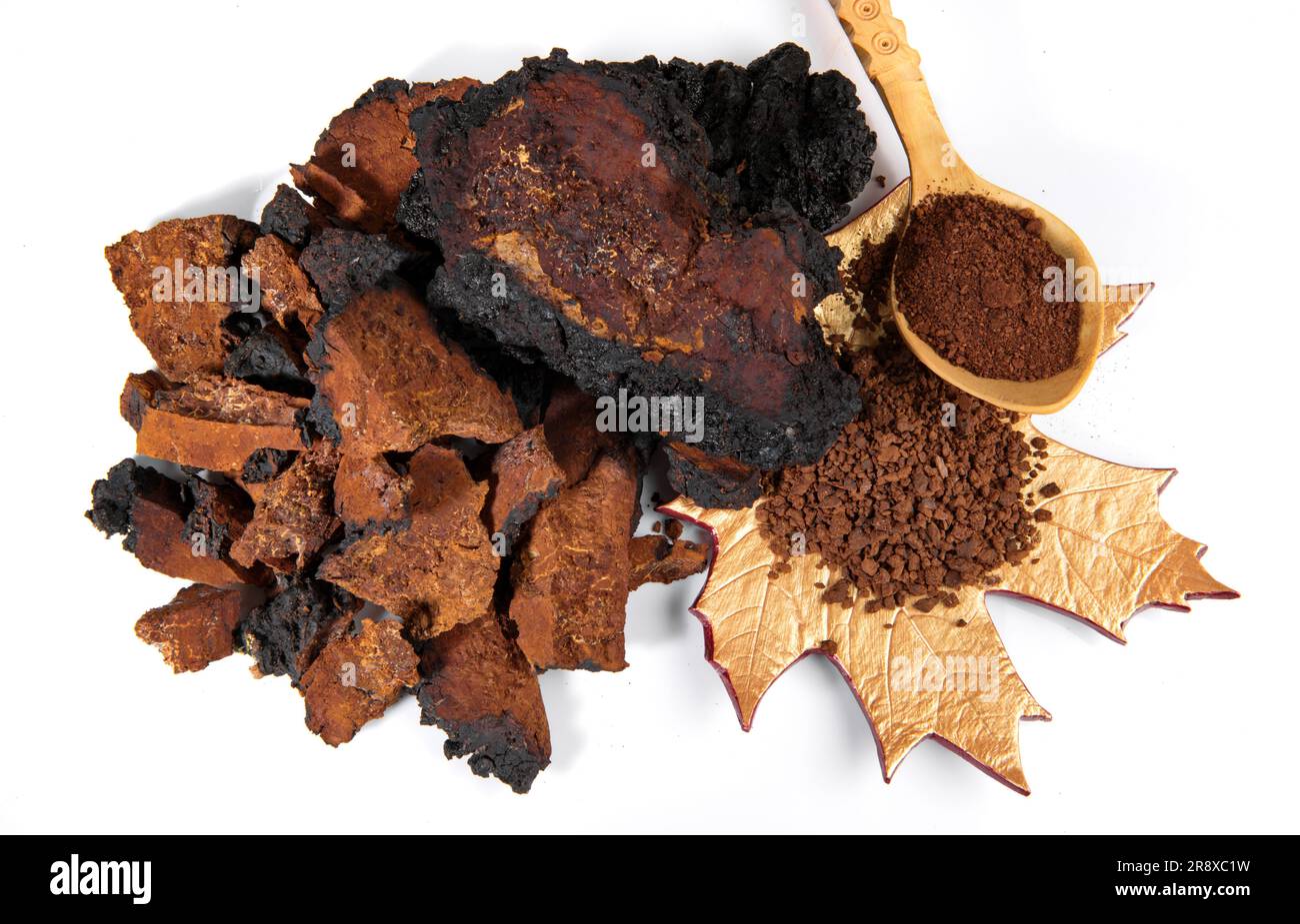 Chaga Mushroom mit Mushroom Pulver isoliert - Natürliche Mineralien Stockfoto