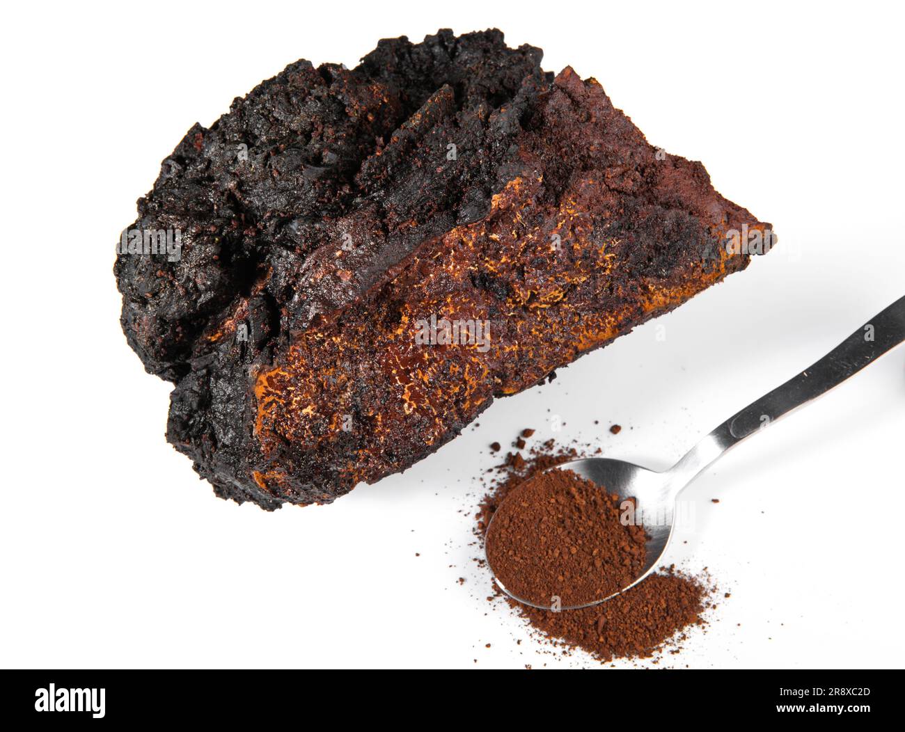 Chaga Mushroom mit Isolierten Stücken - Natürliche Mineralien Stockfoto