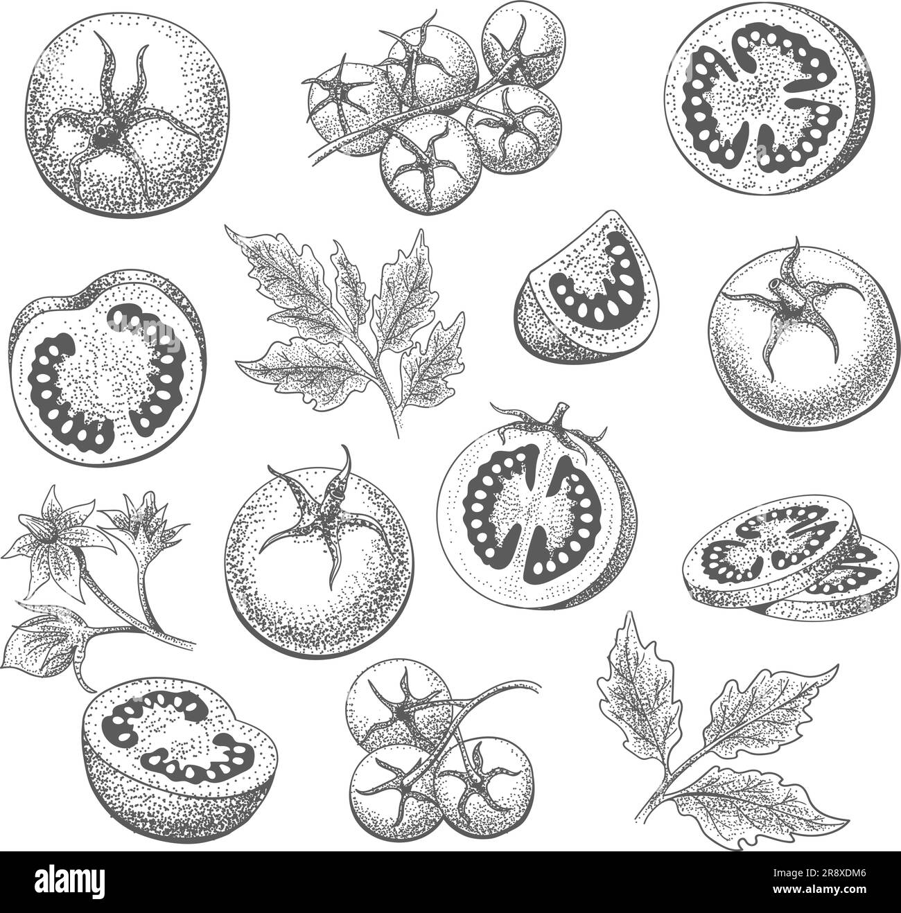 Bio-Gemüse-Tomaten-Set Stock Vektor