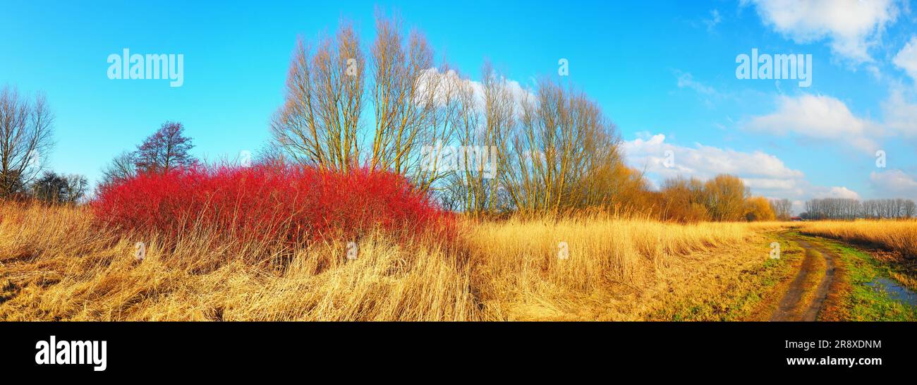 Ostsee im Herbst - Panorama Stockfoto