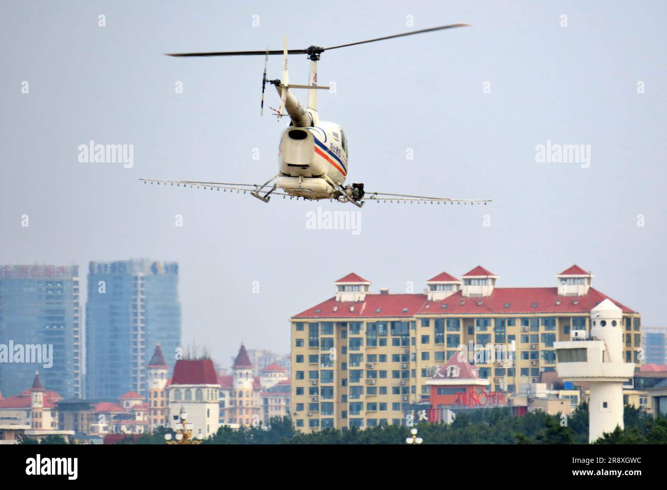 YANTAI, CHINA - 17. JUNI 2023 - Ein Tashan General Aviation R66-Hubschrauber führt Flugzeuge gegen japanische Pine Sawyer in Yantai, Shandong p Stockfoto