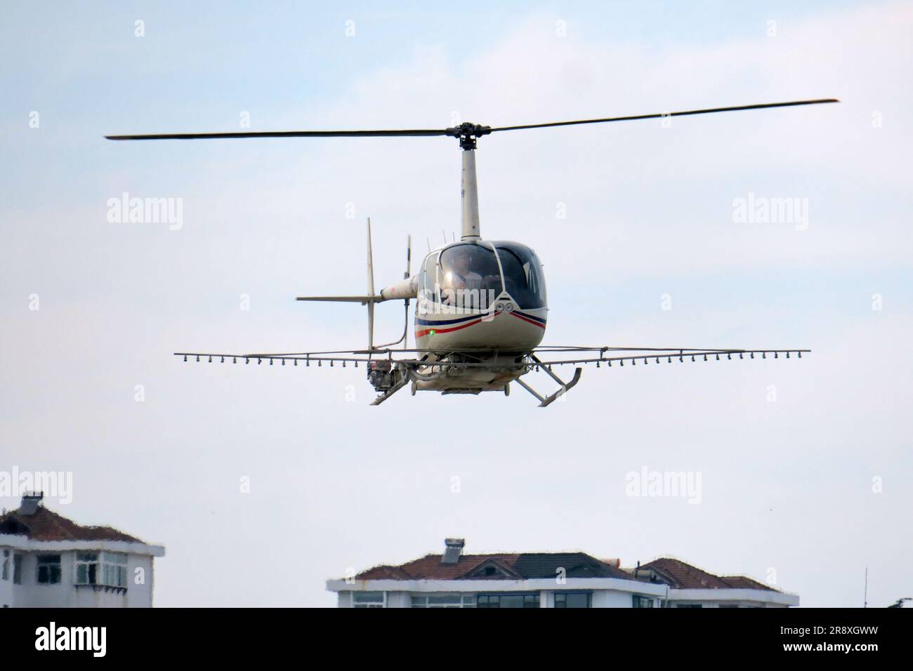 YANTAI, CHINA - 17. JUNI 2023 - Ein Tashan General Aviation R66-Hubschrauber führt Flugzeuge gegen japanische Pine Sawyer in Yantai, Shandong p Stockfoto