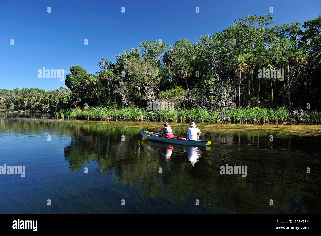 Kanufahren auf dem Chassahowitzka River, Chassahowitzka National Wildlife Refuge, in der Nähe von Spring Hill, Florida Stockfoto