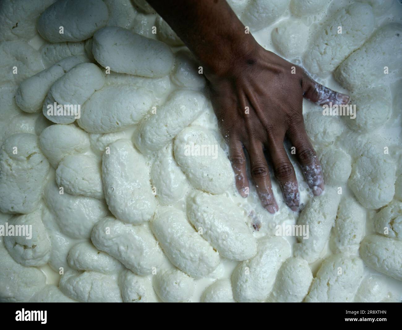 Indische Süßigkeiten werden im Morgengrauen in der Altstadt von Bikaner, Rajasthan, Indien hergestellt. Stockfoto