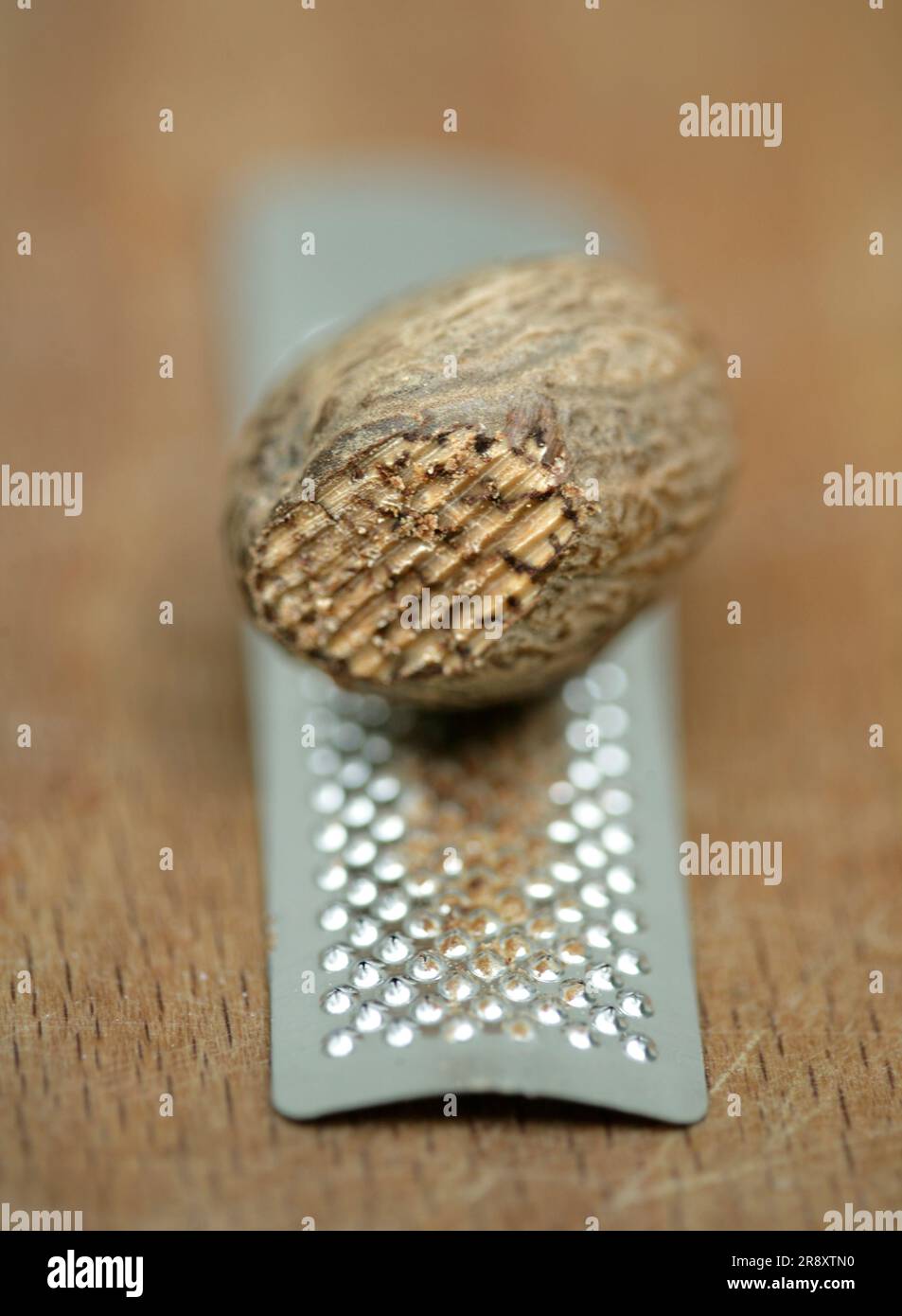 Muskatnuss Stockfoto