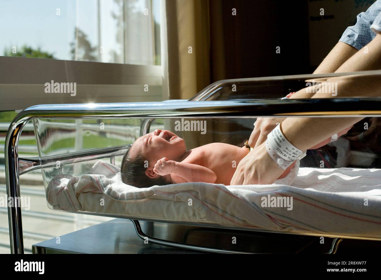Ein Neugeborenes, das in ein Krankenhausbett gelegt wird Stockfoto