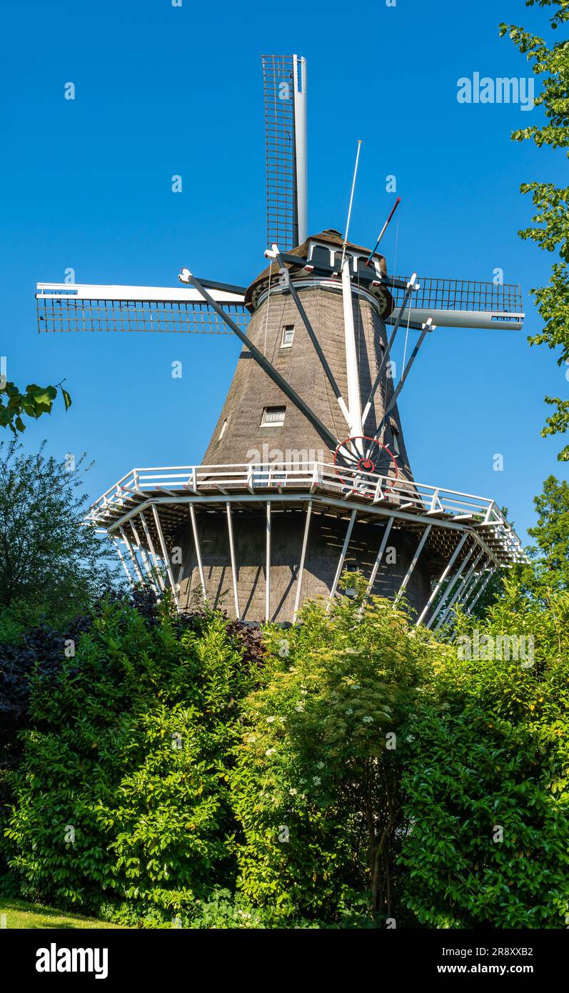 Historische holländische Windmühle De Bloem ab 1768 Uhr in Amsterdam West an einem sonnigen Sommertag Stockfoto