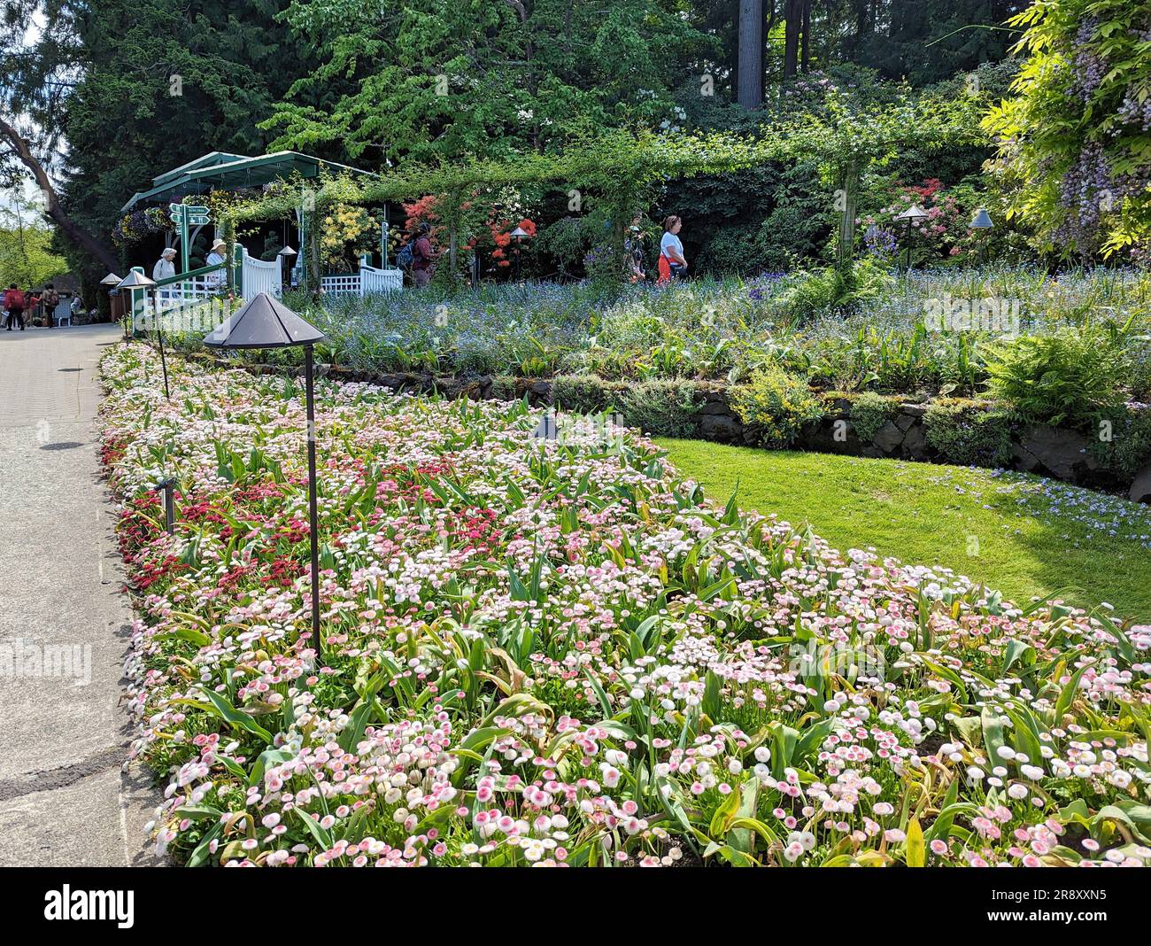 Herrliche botanische Gärten von Butchant in Brentwood Bay auf Victoria Island, British Columbia, Kanada Stockfoto