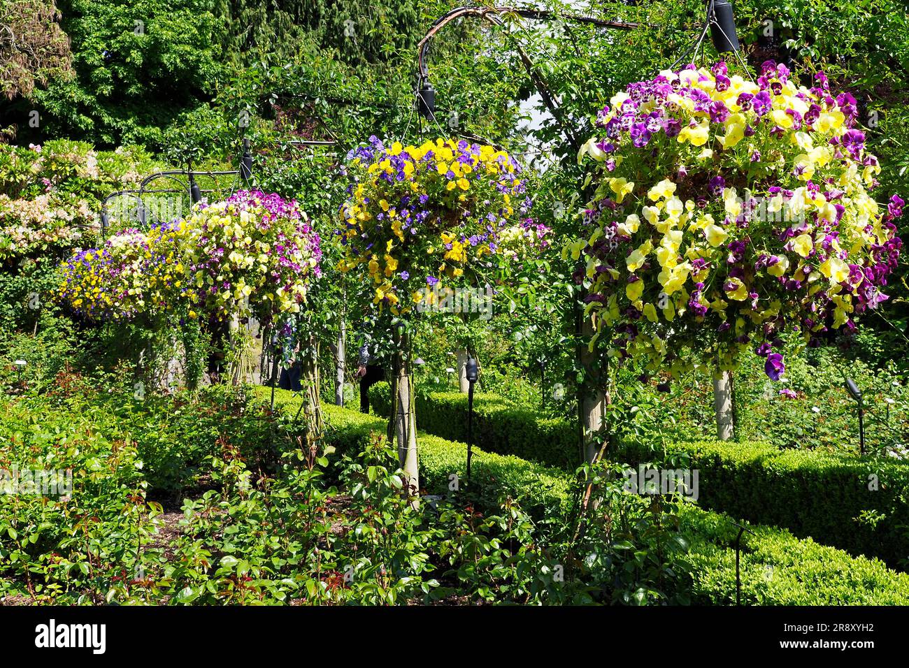 Herrliche botanische Gärten von Butchant in Brentwood Bay auf Victoria Island, British Columbia, Kanada Stockfoto