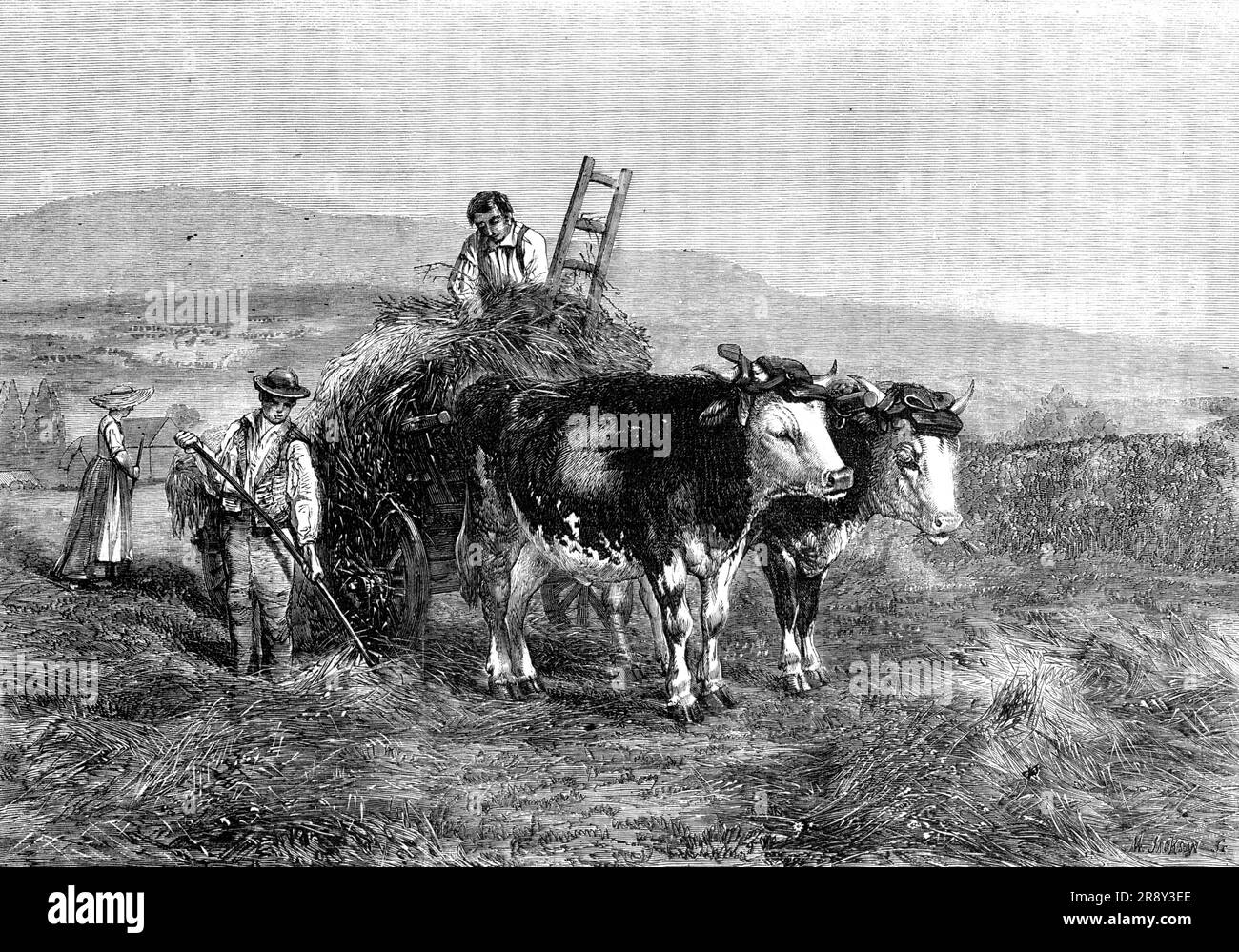 "Heumacherei in der Schweiz" - gemalt von H. Moore, von der Ausstellung der Nationalinstitution, 1857. Gravur von "..." Haymaking in der Schweiz: Lausanne. Auf der Stelle gemalt“... Was kann der Natur treuer sein als diese robusten Ochsen, die in der Sonne stehen, mit ihren herabhängenden weißen Wimpern und den Schatten ihrer Ohren und Hörner, die sich über ihre rauen und zwielichtigen Seiten schleichen? Nun, Faulheit und gutes Leben auf so reichem, duftendem, blumigen Provender wie vor ihnen sind in jedem Merkmal ihres Zustandes geprägt. Sie sind so perfekt bemalt, dass sie sich unzweifelhaft bilden Stockfoto